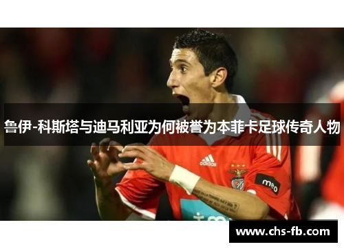 鲁伊-科斯塔与迪马利亚为何被誉为本菲卡足球传奇人物