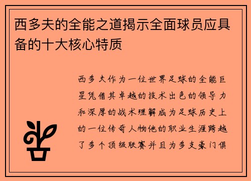 西多夫的全能之道揭示全面球员应具备的十大核心特质 西多夫的全能之道揭示全面球员应具备的十大核心特质