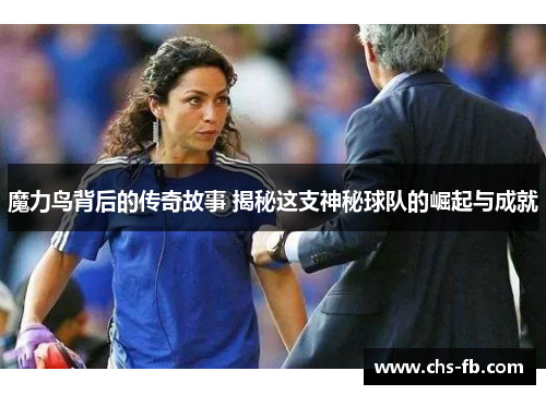 魔力鸟背后的传奇故事 揭秘这支神秘球队的崛起与成就