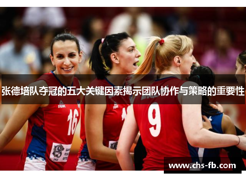 张德培队夺冠的五大关键因素揭示团队协作与策略的重要性 张德培队夺冠的五大关键因素揭示团队协作与策略的重要性