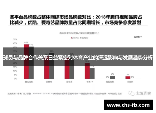 球员与品牌合作关系日益紧密对体育产业的深远影响与发展趋势分析