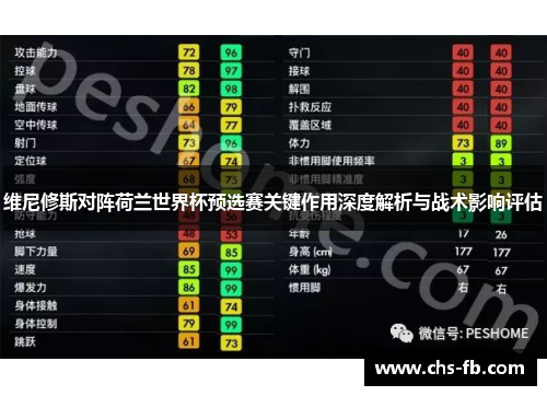 维尼修斯对阵荷兰世界杯预选赛关键作用深度解析与战术影响评估