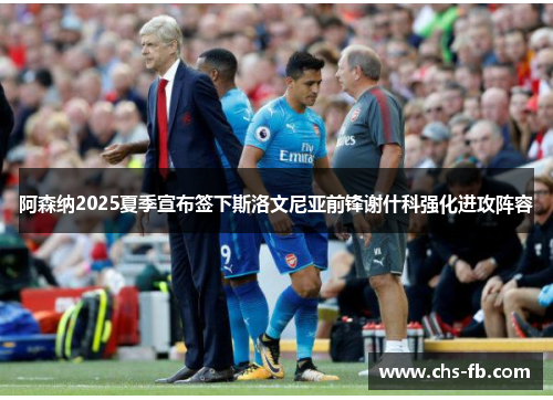 阿森纳2025夏季宣布签下斯洛文尼亚前锋谢什科强化进攻阵容